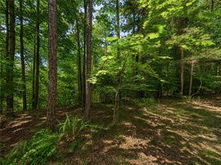 1652 Sable Court, Talking Rock, GA 30175