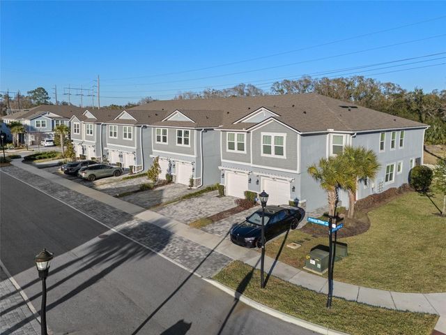 8509 PRIMROSE WILLOW PLACE, Odessa, FL 33556