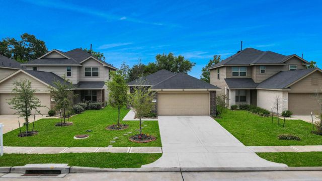 24031 Wandering Brook Drive, Hockley, TX 77447