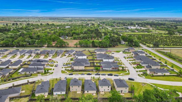 24031 Wandering Brook Drive, Hockley, TX 77447