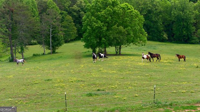 850 Preacher Campbell Road, Clarkesville, GA 30523