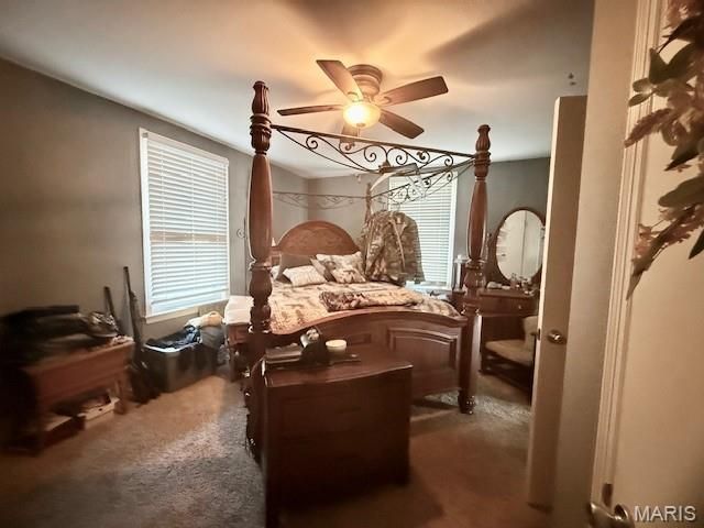 222 E Church Street, Palmyra, MO 63461