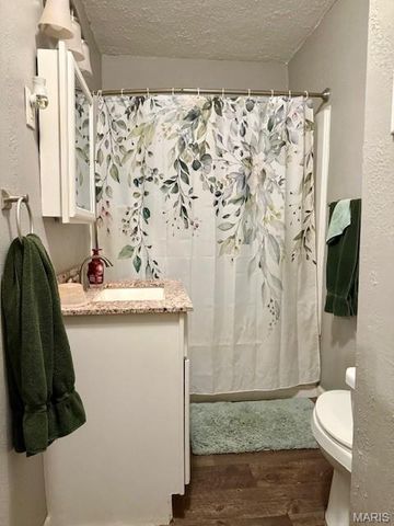 222 E Church Street, Palmyra, MO 63461