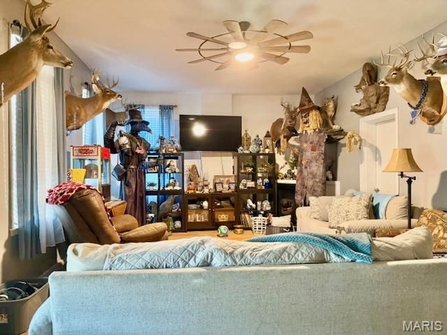 222 E Church Street, Palmyra, MO 63461