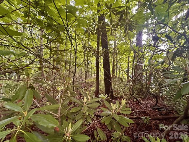 000 Laurel Circle Road, Burnsville, NC 28714