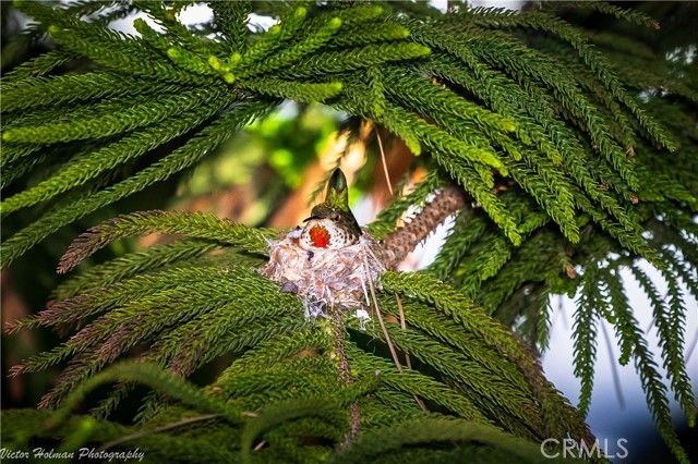 2216 El Capitan Drive, Riverside, CA 92506