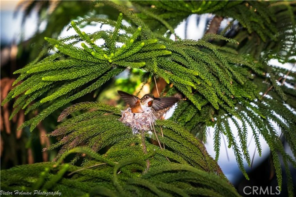 2216 El Capitan Drive, Riverside, CA 92506