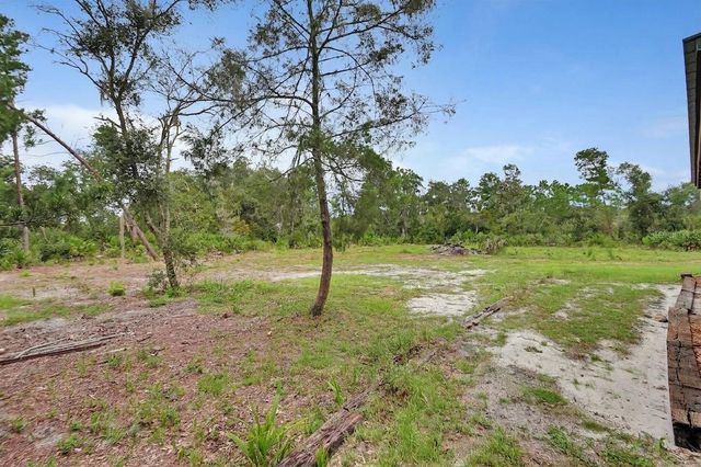 698 WILD ACRES ROAD, Osteen, FL 32764