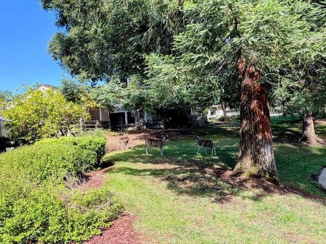 6139 Montgomery Place, San Jose, CA 95135