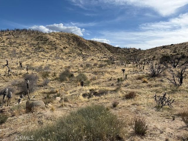 0 200, Llano, CA 93544