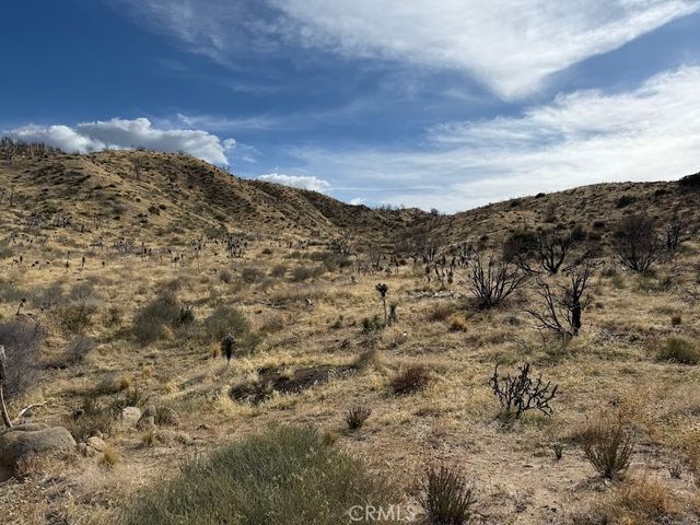 0 200, Llano, CA 93544