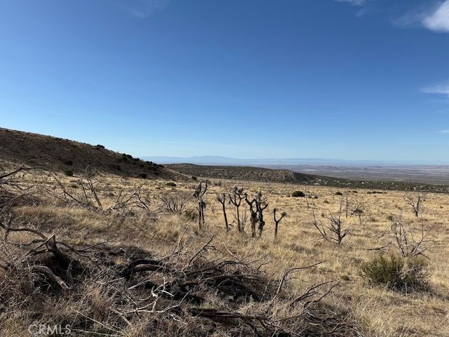 0 200, Llano, CA 93544
