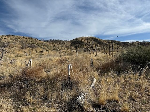 0 200, Llano, CA 93544