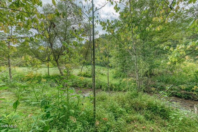 460 & 346 Austin Powder Road, Blountville, TN 37617