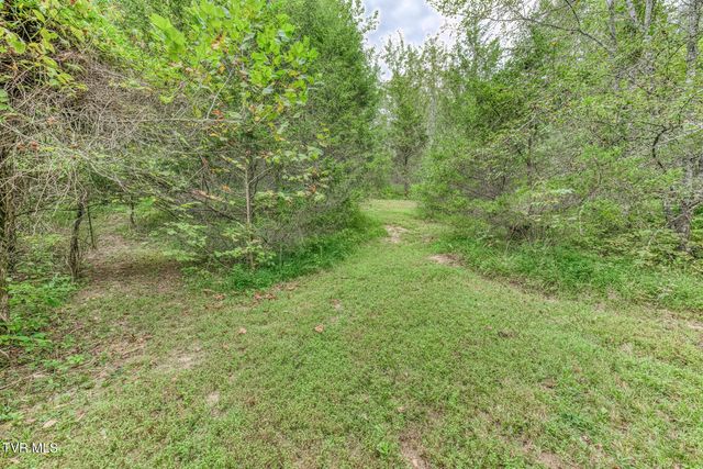 460 & 346 Austin Powder Road, Blountville, TN 37617