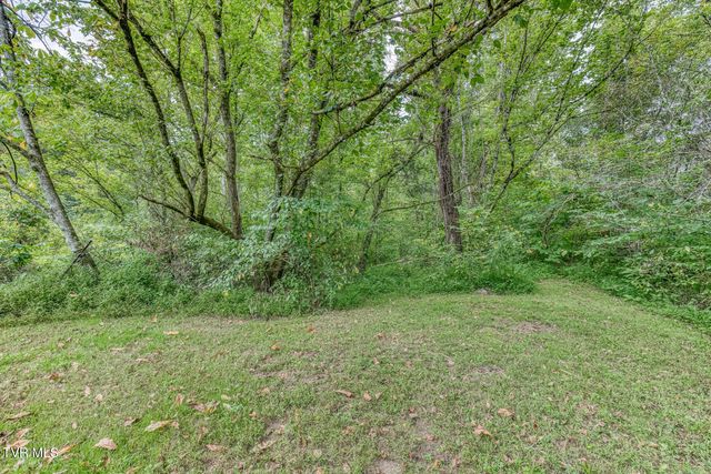 460 & 346 Austin Powder Road, Blountville, TN 37617