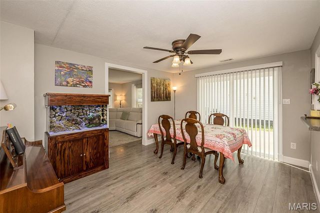 1101 Cliff Drive, Festus, MO 63028