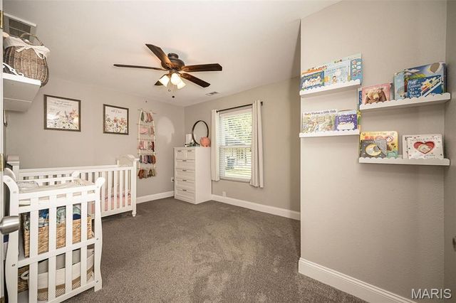 1101 Cliff Drive, Festus, MO 63028