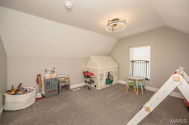 1101 Cliff Drive, Festus, MO 63028