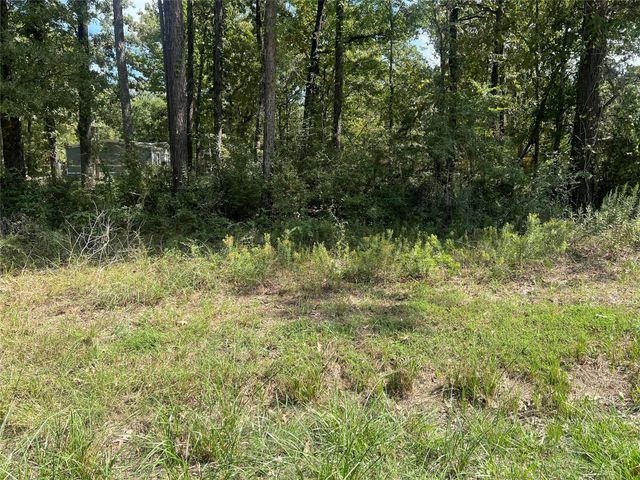 TBD Meridian Lot 22, Livingston, TX 77351