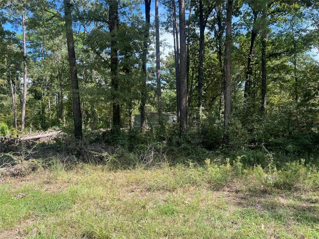 TBD Meridian Lot 22, Livingston, TX 77351