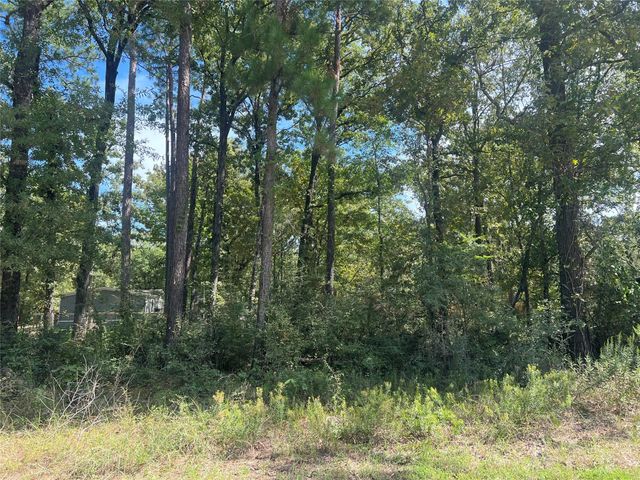 TBD Meridian Lot 22, Livingston, TX 77351