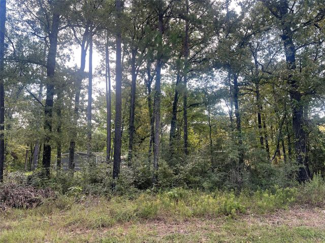 TBD Meridian Lot 22, Livingston, TX 77351