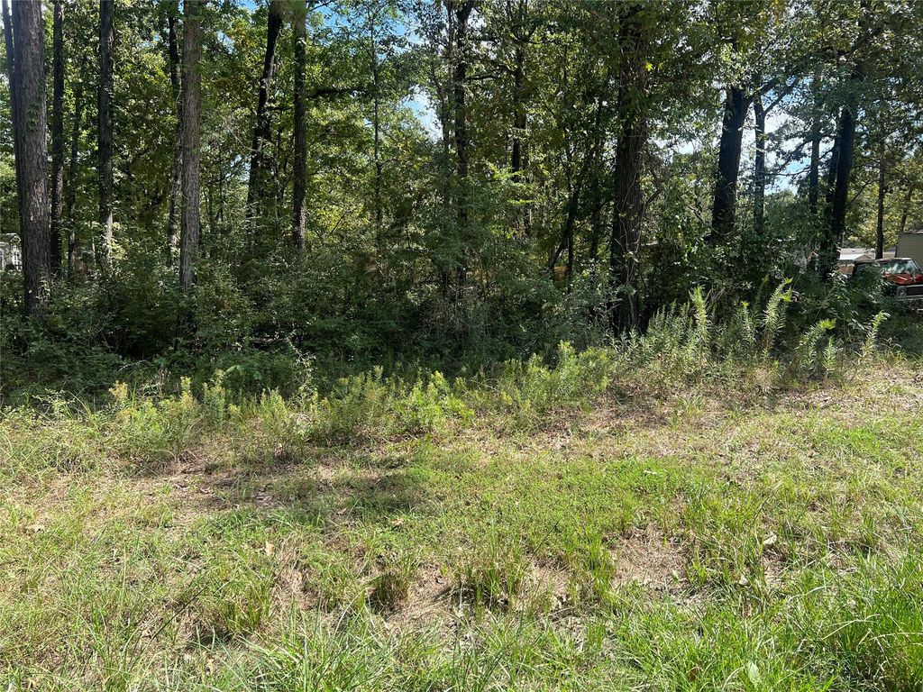 TBD Meridian Lot 22, Livingston, TX 77351