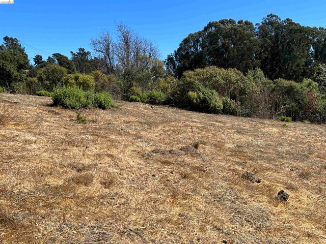 14381 Skyline Blvd, Oakland, CA 94619