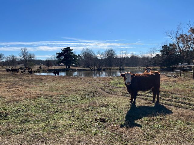 50 Taylor Circle, Conway, AR 72032