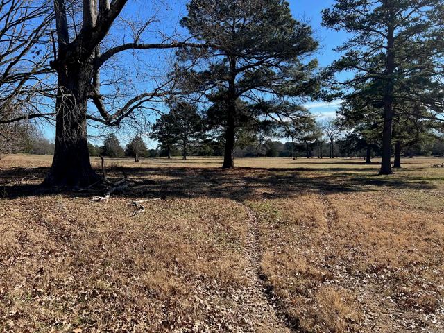 50 Taylor Circle, Conway, AR 72032