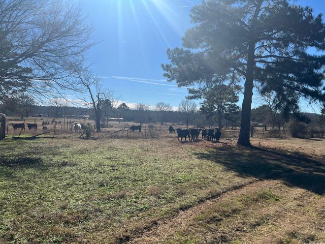 50 Taylor Circle, Conway, AR 72032