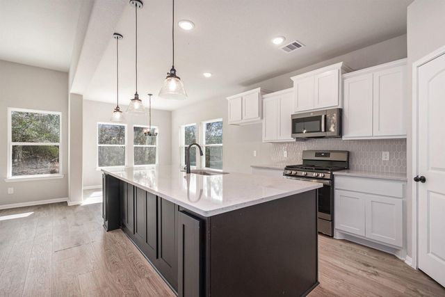 11702 Oakwood Ranch, Willis, TX 77378