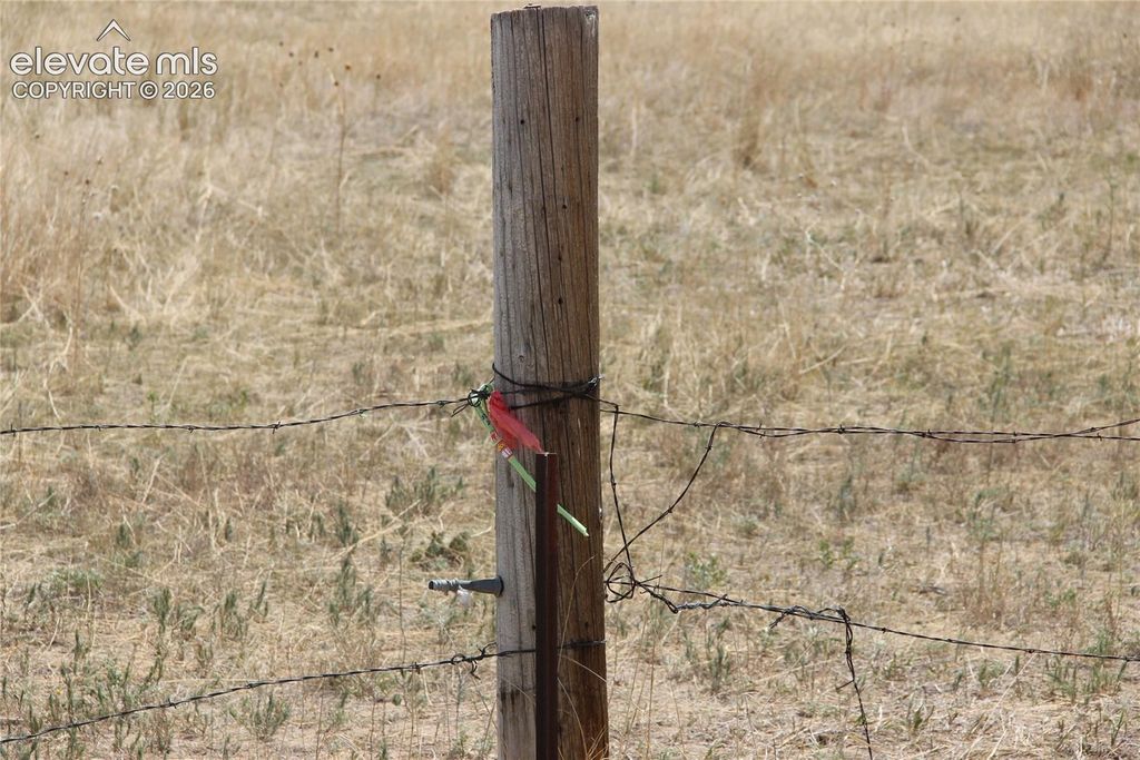 County Road 133, Simla, CO 80835 — photo 3
