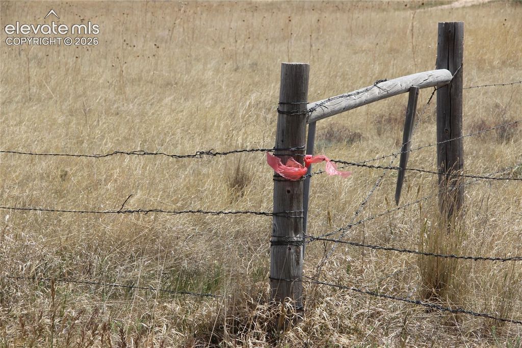 County Road 133, Simla, CO 80835 — photo 4