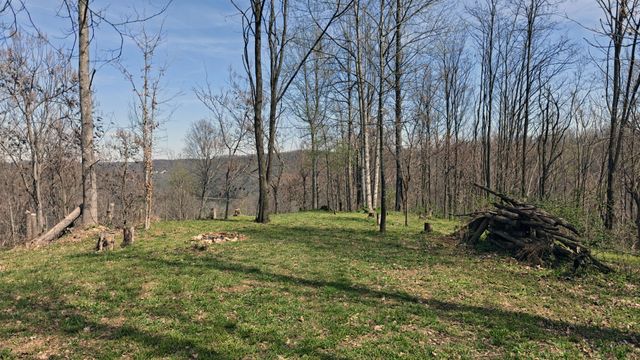 0 Halls Hill Rd, Smithville, TN 37166