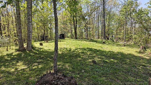 0 Halls Hill Rd, Smithville, TN 37166
