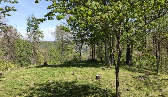 0 Halls Hill Rd, Smithville, TN 37166