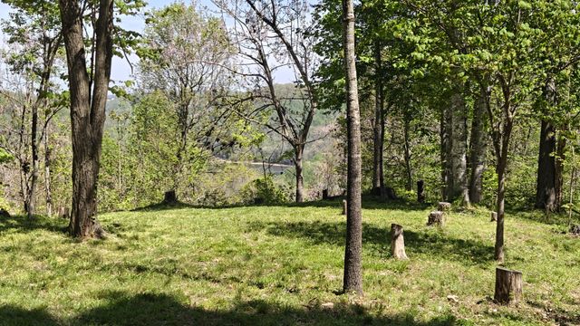0 Halls Hill Rd, Smithville, TN 37166