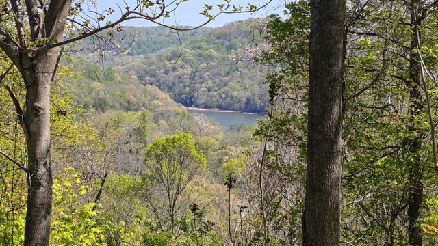 0 Halls Hill Rd, Smithville, TN 37166