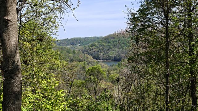 0 Halls Hill Rd, Smithville, TN 37166