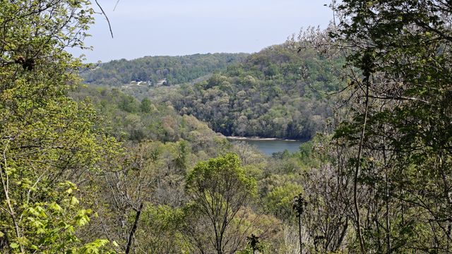 0 Halls Hill Rd, Smithville, TN 37166