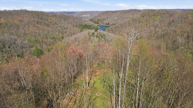 0 Halls Hill Rd, Smithville, TN 37166