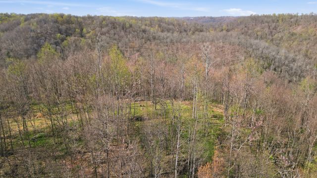 0 Halls Hill Rd, Smithville, TN 37166