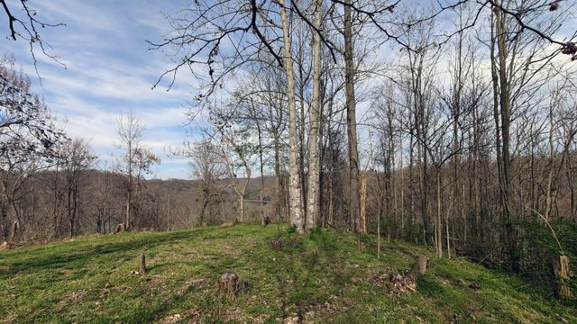 0 Halls Hill Rd, Smithville, TN 37166