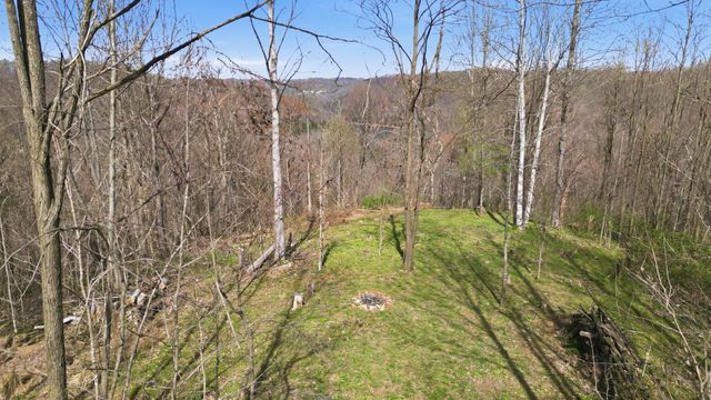 0 Halls Hill Rd, Smithville, TN 37166