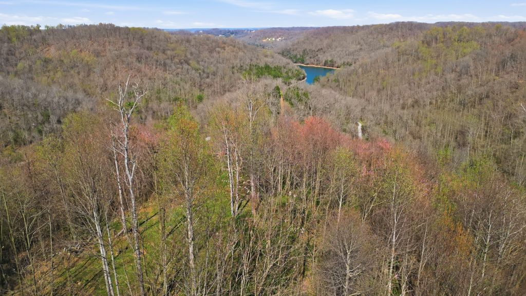 0 Halls Hill Rd, Smithville, TN 37166