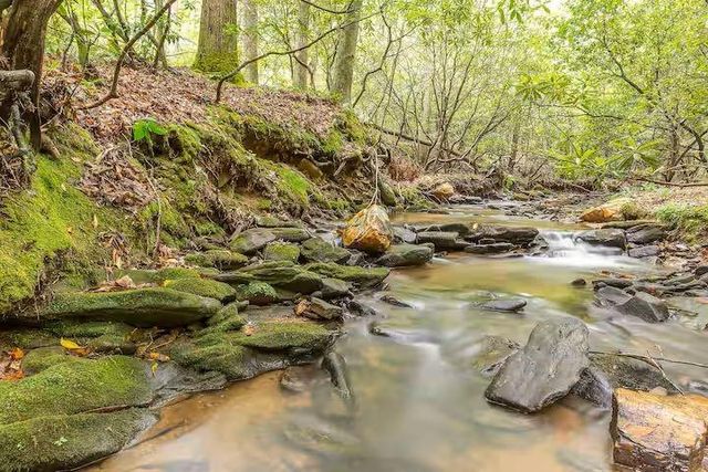 10 Morgan Walk, Big Canoe, GA 30143