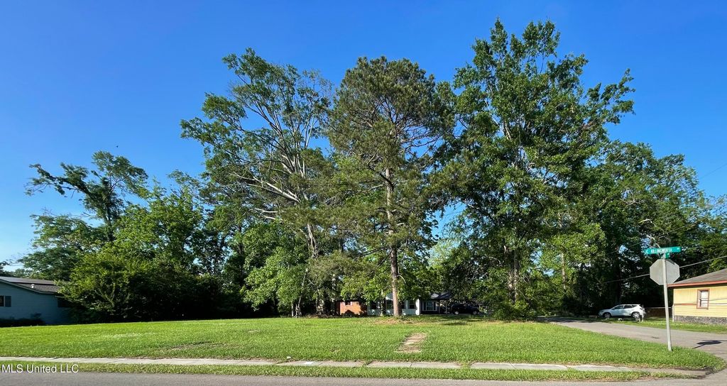 424 J C Killingsworth Drive, Hattiesburg, MS 39401