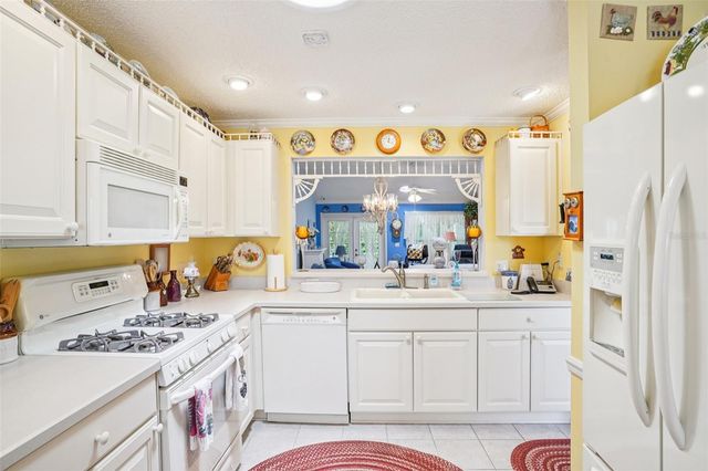 9469 SE 176TH SAFFOLD STREET, The Villages, FL 32162